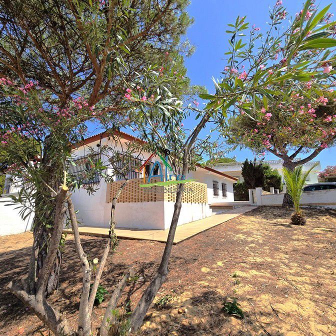 Vista exterior de Casa o chalet en venta en Almonte con Calefacción, Jardín privado y Terraza