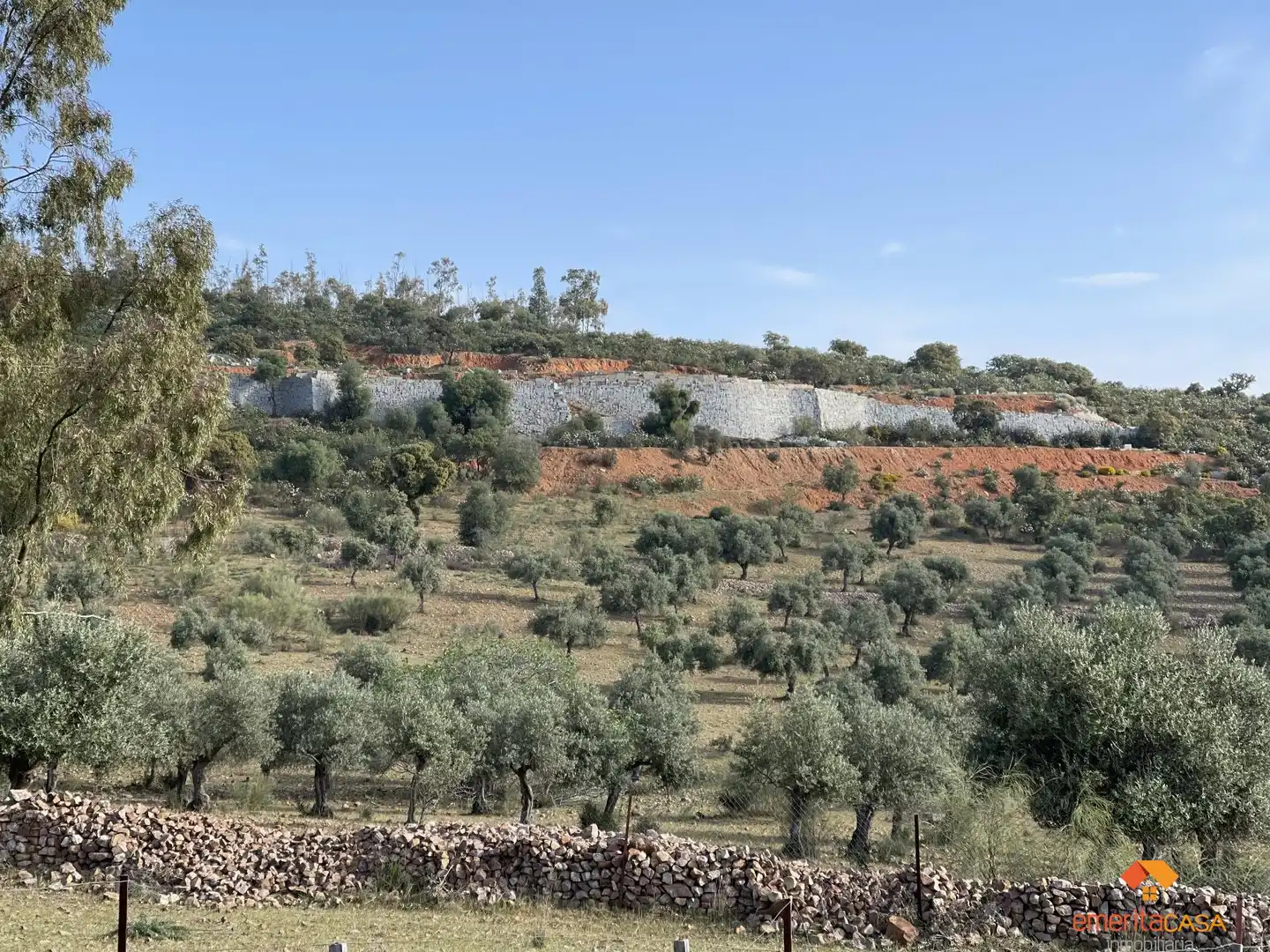 Terreni e lotti in vendita a Quintana de la Serena, imagen 2