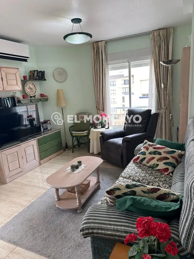 Apartment with terrace for sale in Las Viñas, imagen 7