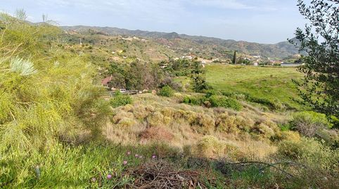 Foto 3 de Finca rústica en venda a Almogía, Málaga
