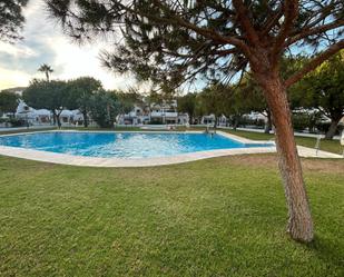 Swimming pool of Apartment for sale in Chiclana de la Frontera  with Terrace and Community pool