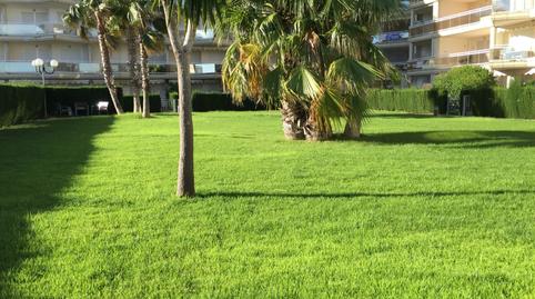 Photo 2 of Apartment to rent in Passeig del Mediterrani, 17, Passeig Marítim, Mont-roig del Camp