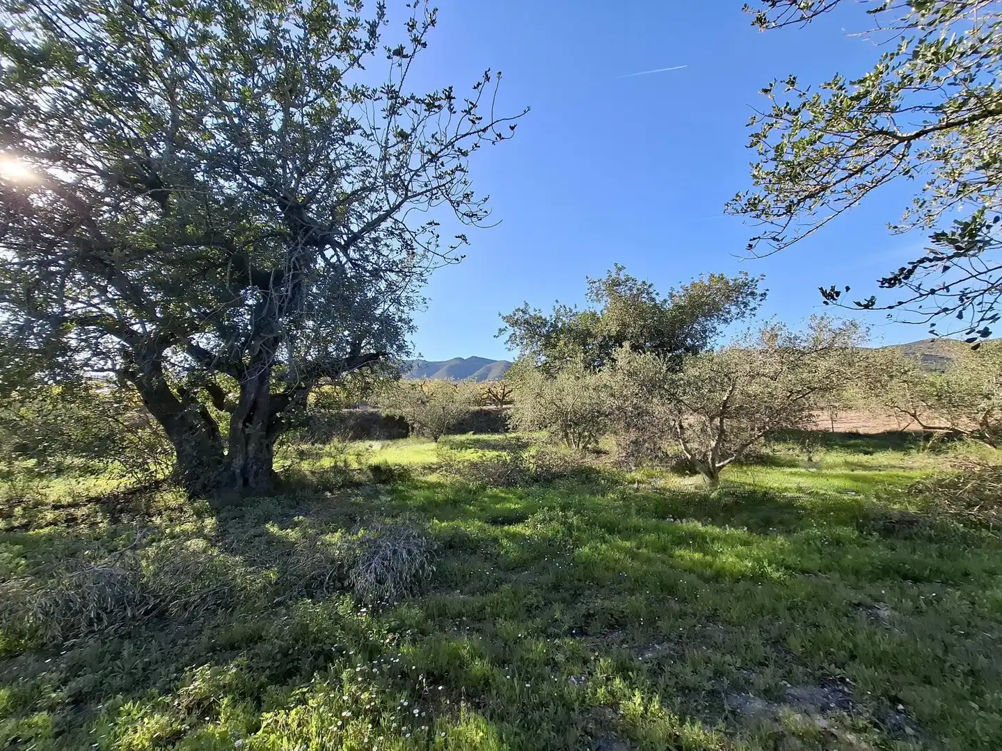 Residential for sale in Aielo de Malferit