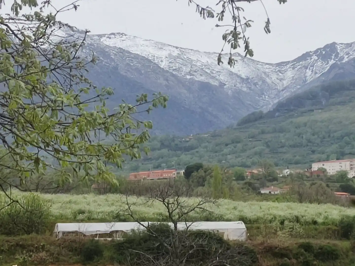 Terreni e lotti in vendita a Jarandilla de la Vera, imagen 3
