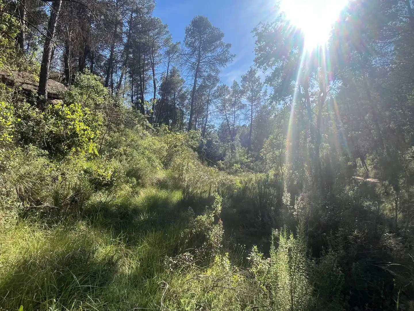 Terreni e lotti in vendita a Arens de Lledó, imagen 7