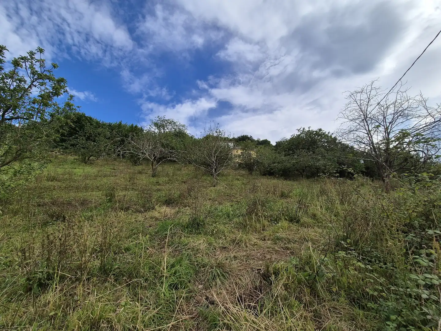 Residential land for sale in Grado, imagen 2