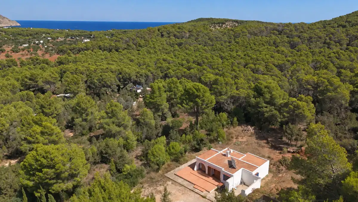 Maison à vendre à Diseminado P 7 San Carlos, imagen 26