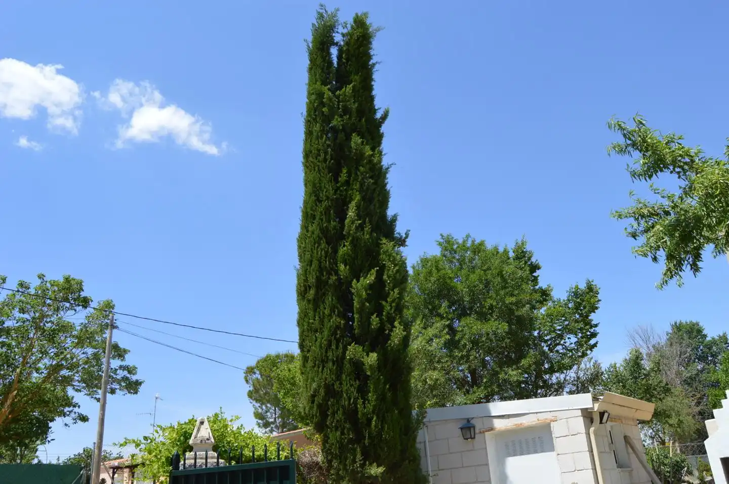 Casa o xalet en venda a LAS CARMELITAS, Tarancón
