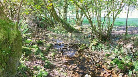 Foto 5 de Finca rústica en venta en O Sumeiro, O Burgo, Muras, Lugo