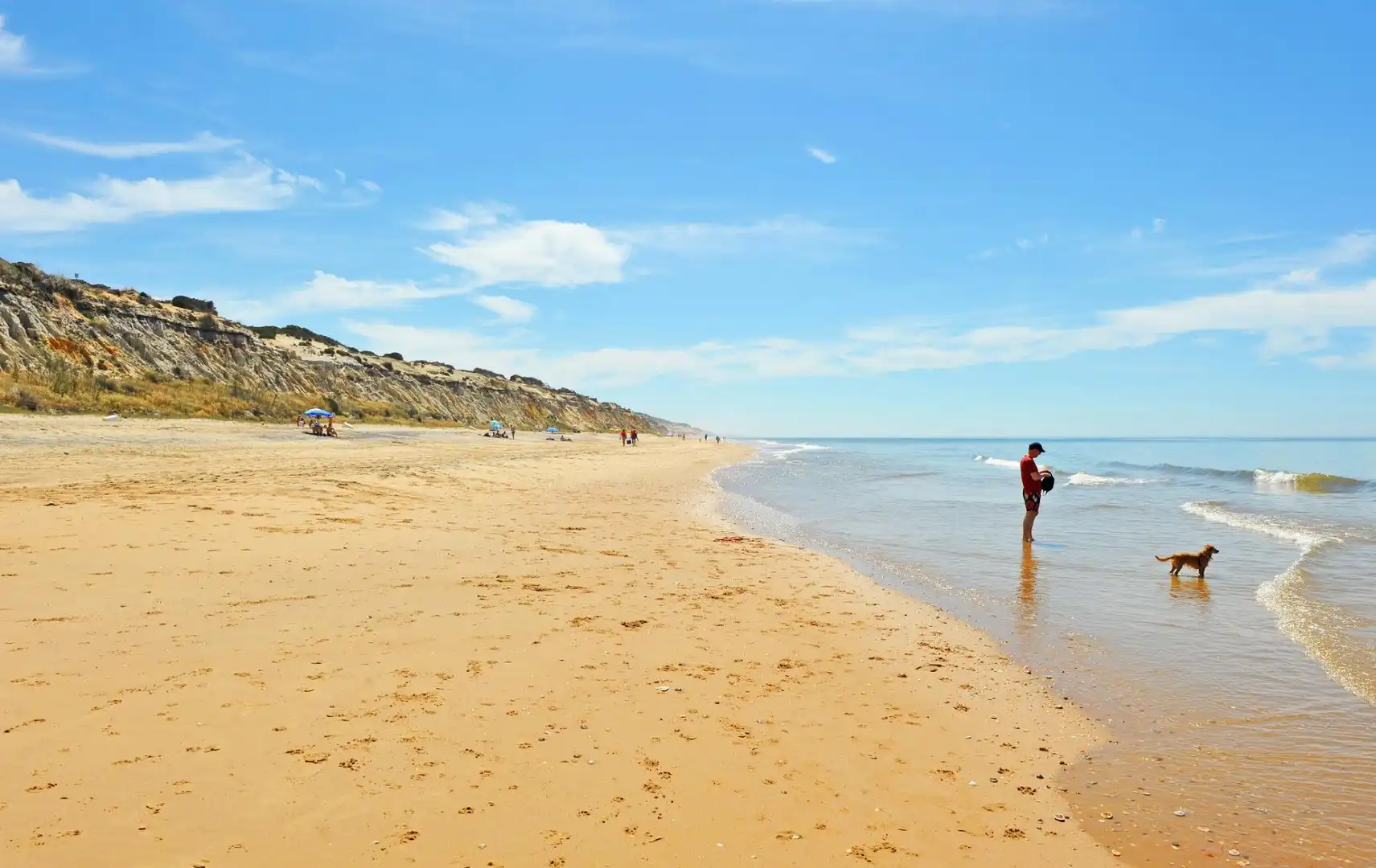 Wohnbaugrundstück zum Verkauf in Calle Mar Mediterráneo, imagen 6