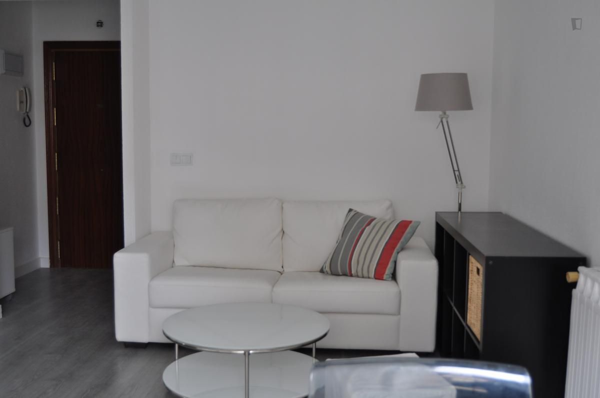 Sala de estar de Estudio de alquiler en  Madrid Capital con Calefacción, Amueblado y Horno