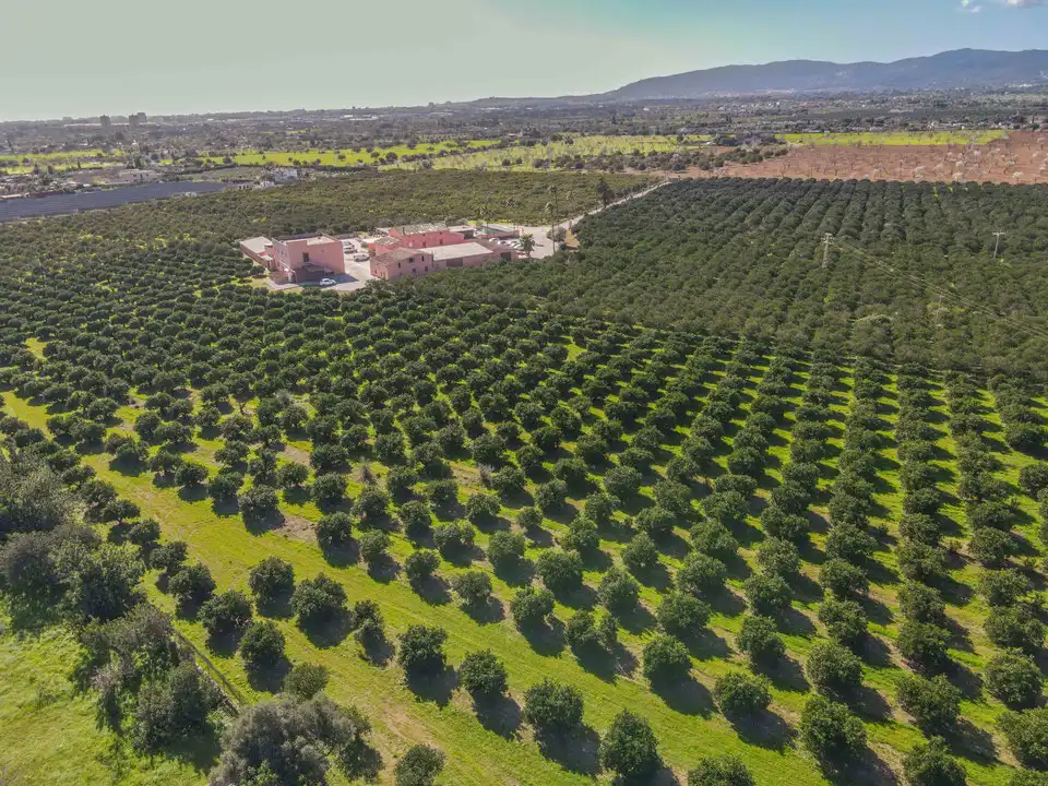 Garten von Residential zum Verkauf in Marratxí