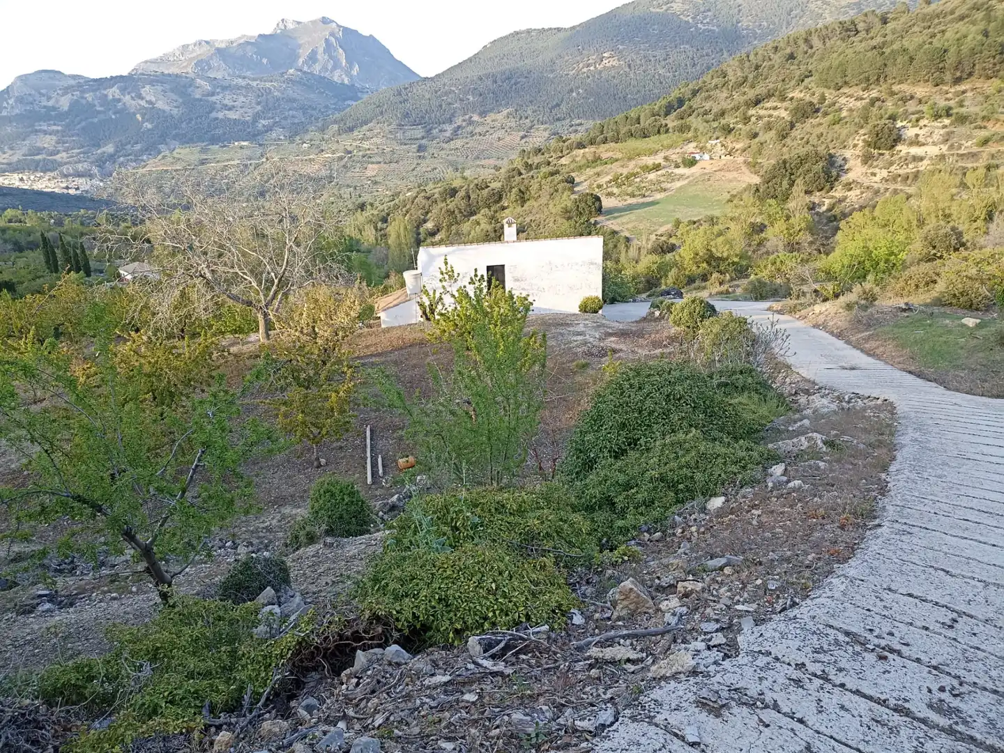 Land for sale in Torres