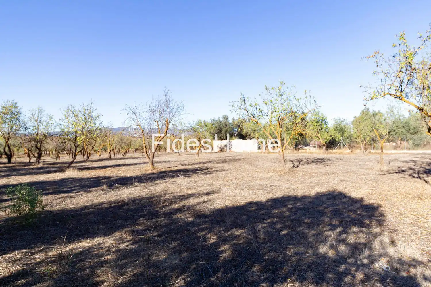 Rural land for sale in XFC2+95P Acequias 0, imagen 5
