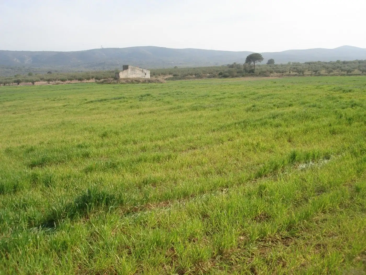 Terreno rustico in vendita a Godall, imagen 2