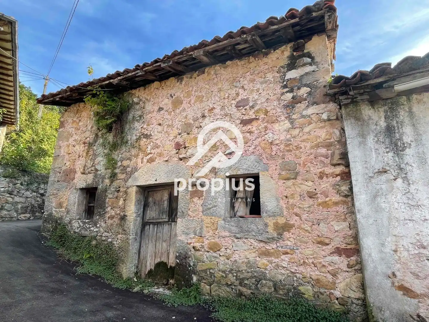 Vista exterior de Casa o chalet en venta en Onís con Calefacción y Terraza