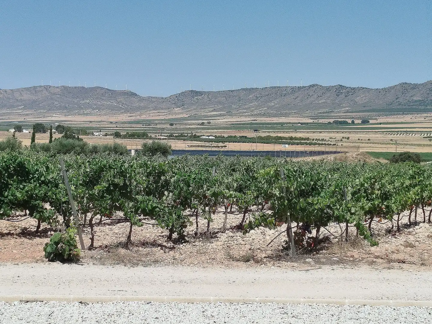 Finca rústica en venda en Yecla amb Aire condicionat i Terrassa