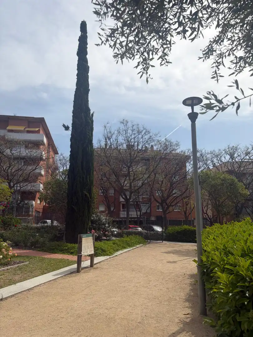Exterior view of Duplexes for sale in Sant Feliu de Llobregat  with Heating, Terrace and Storage room