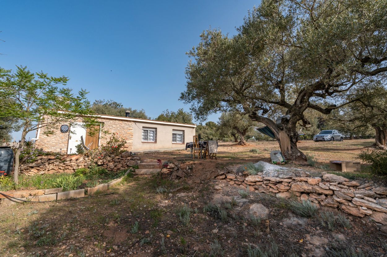 Jardí de Finca rústica en venda en Masdenverge amb Terrassa, Traster i Moblat