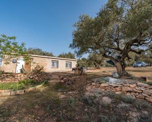 Jardí de Finca rústica en venda en Masdenverge amb Terrassa, Traster i Moblat