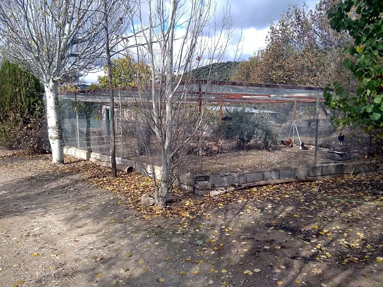 Finca rústica en venta en Benalúa de las Villas con Jardín privado, Terraza y Trastero
