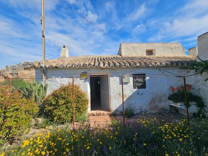 Exterior view of Country house for sale in Fuente Álamo de Murcia