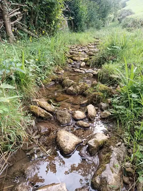 Terreno rustico in vendita a Proaza, imagen 36