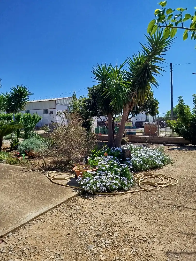 Terreno residencial en venta en Pueblo, imagen 10