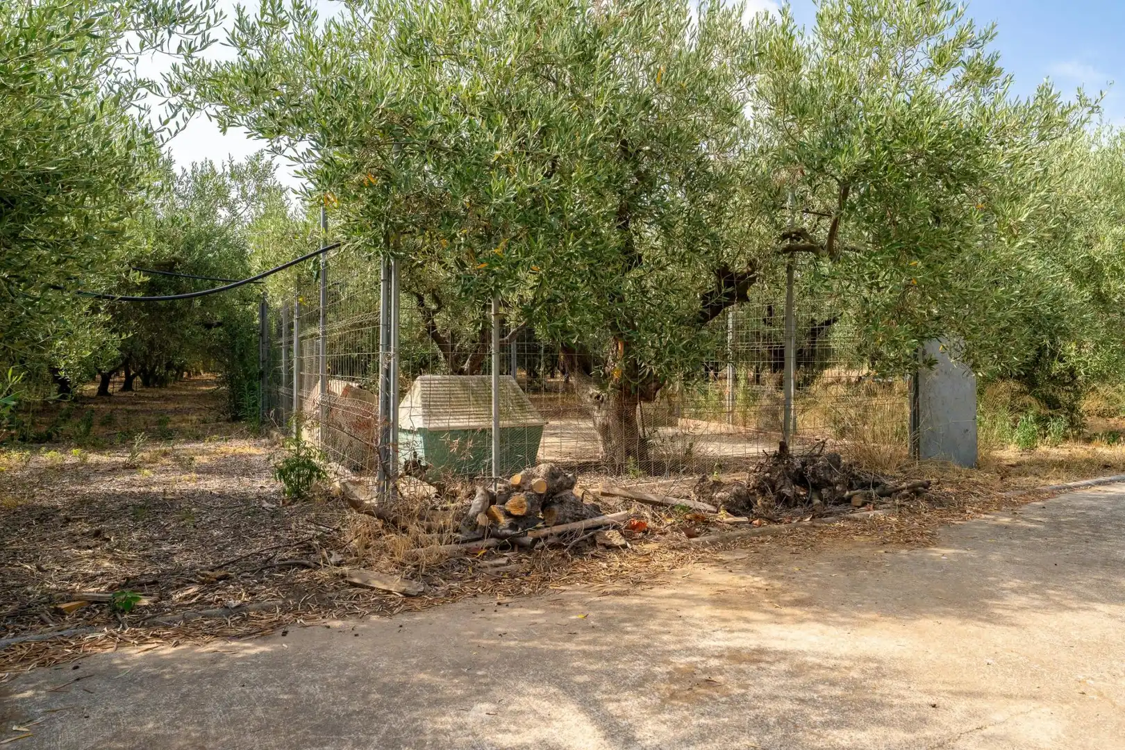 Finca rústica en venda a Polígono 8 Parcela 28, Poble