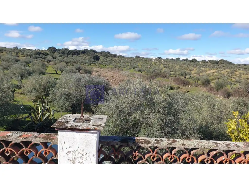 Houses for sale in Diseminados S Miguel, Alcántara