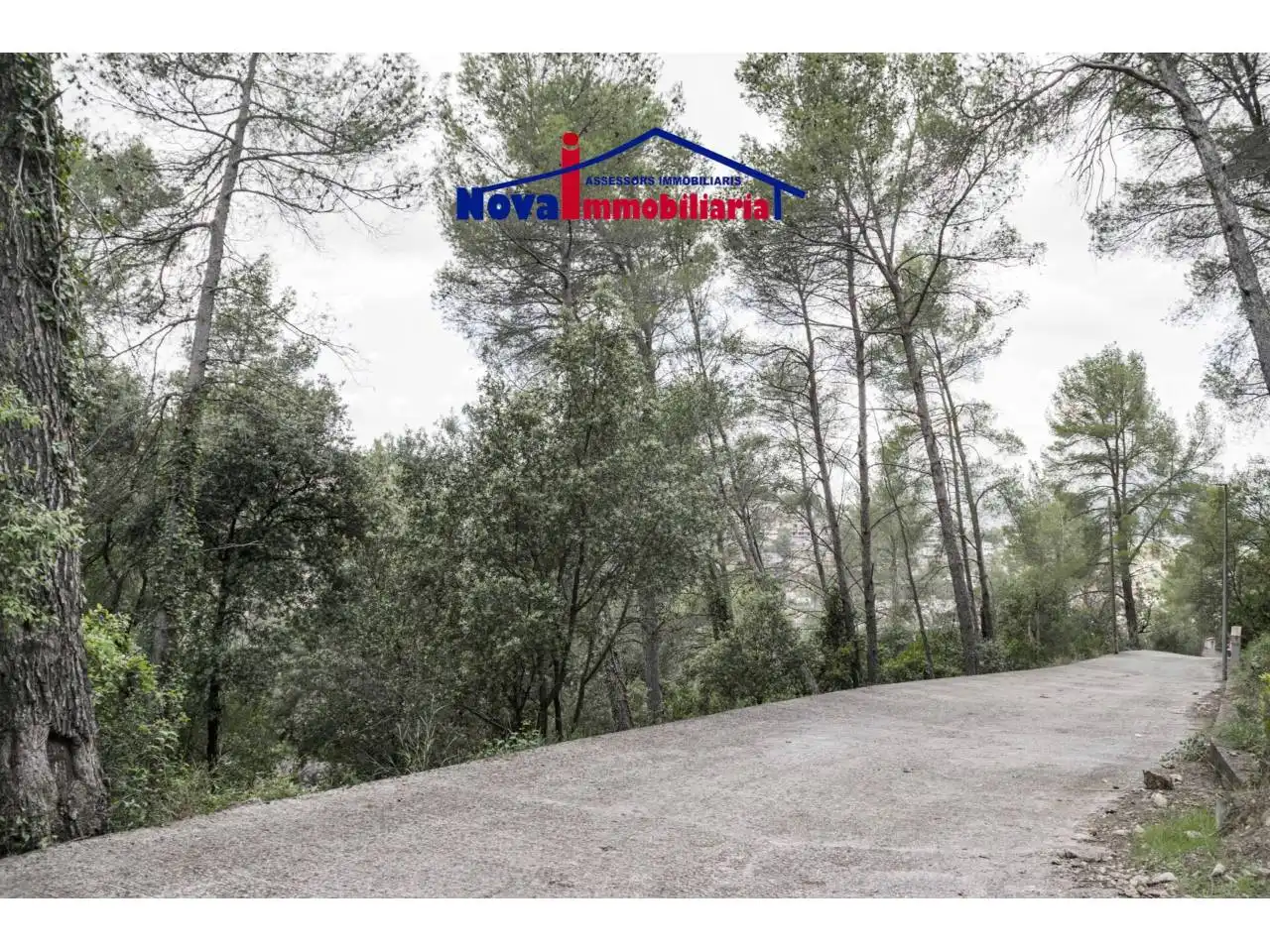 Rural land for sale in Calle Socies 20, imagen 5