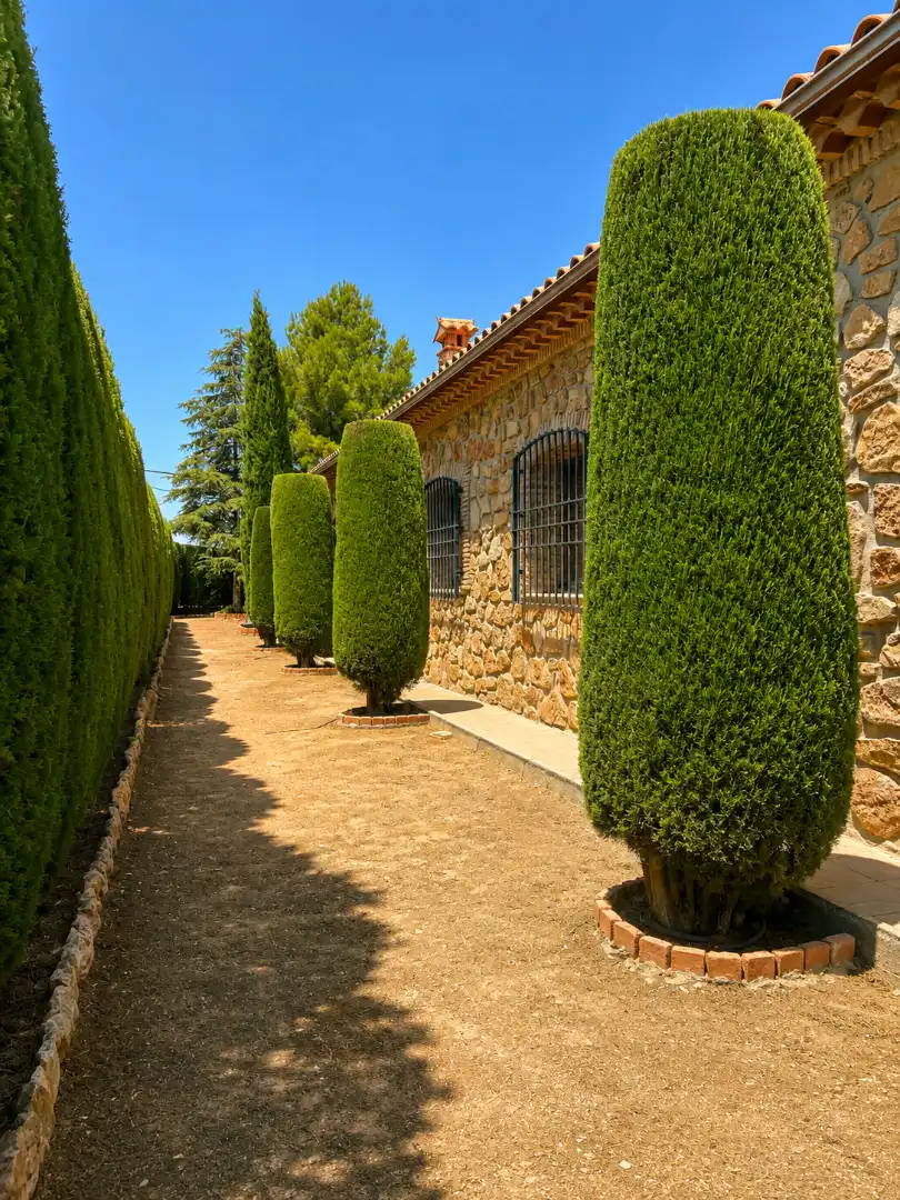 Chalet con jardín en venta en Tomelloso, imagen 3