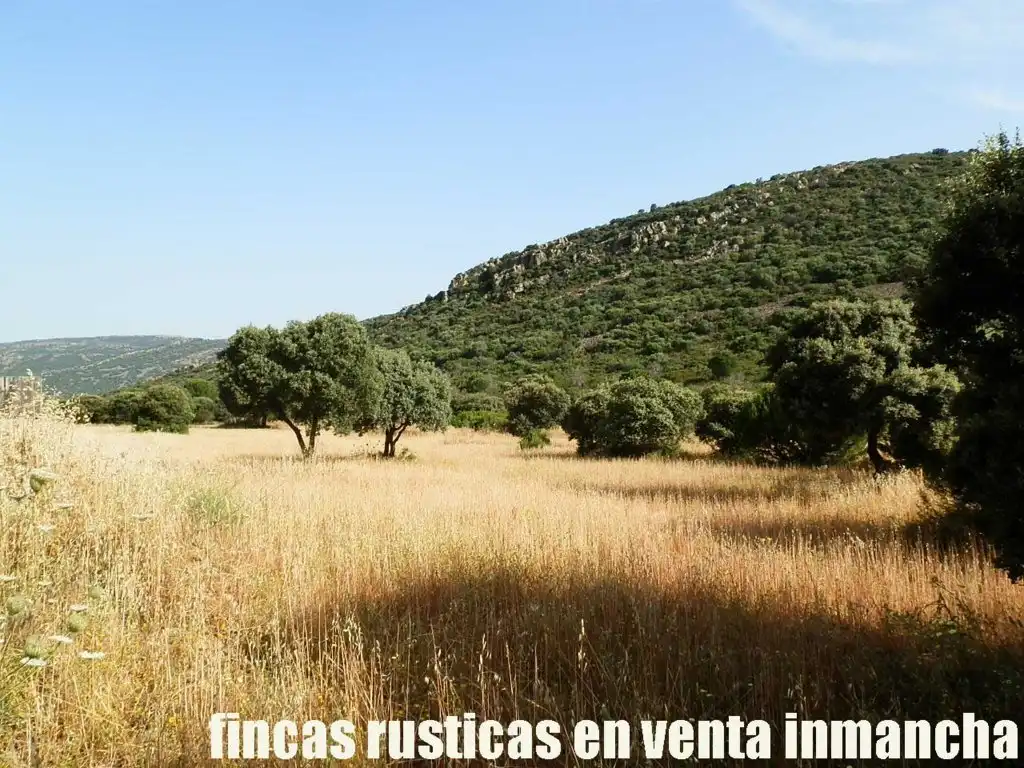 Terreny rústic en venda a Alcolea de Calatrava, imagen 8