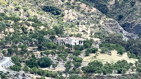 Cortijo Alqueria, imagen 2