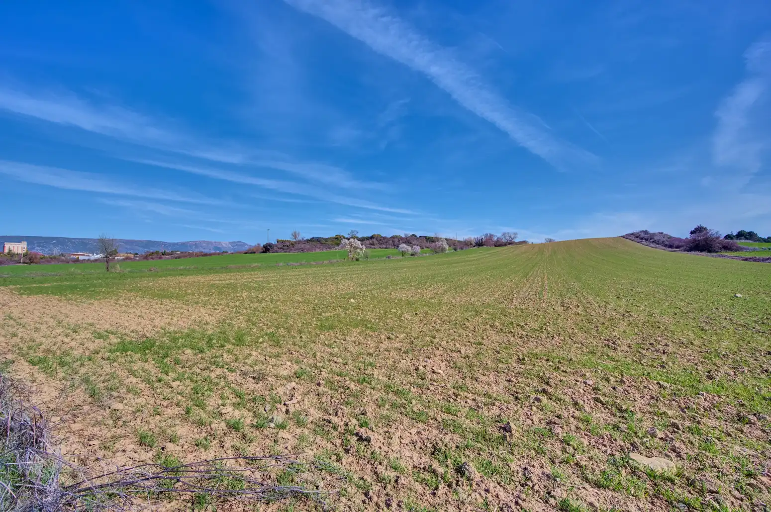 Rural land for sale in Sangüesa / Zangoza, imagen 38