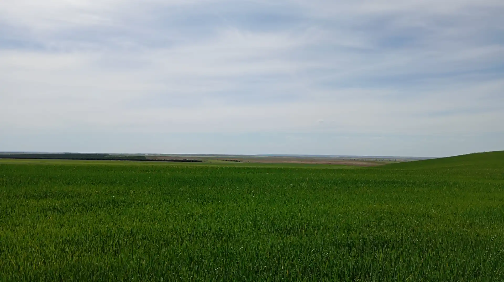 Land for sale in Calle Iglesia, Cantaracillo
