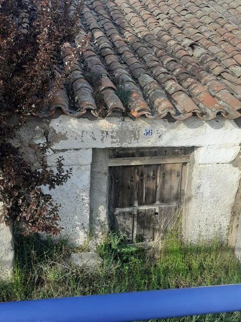 Vista exterior de Finca rústica en venta en Ávila Capital