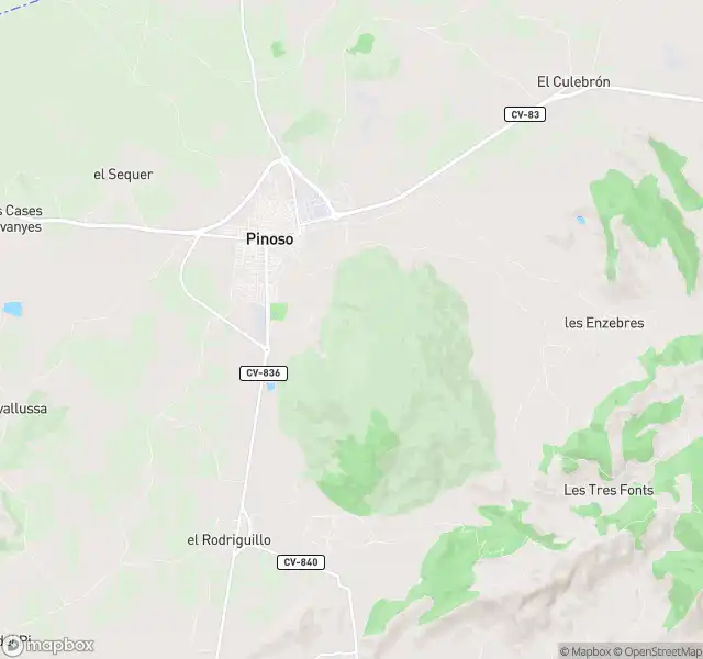 Piso en venta en El Pinós / Pinoso
