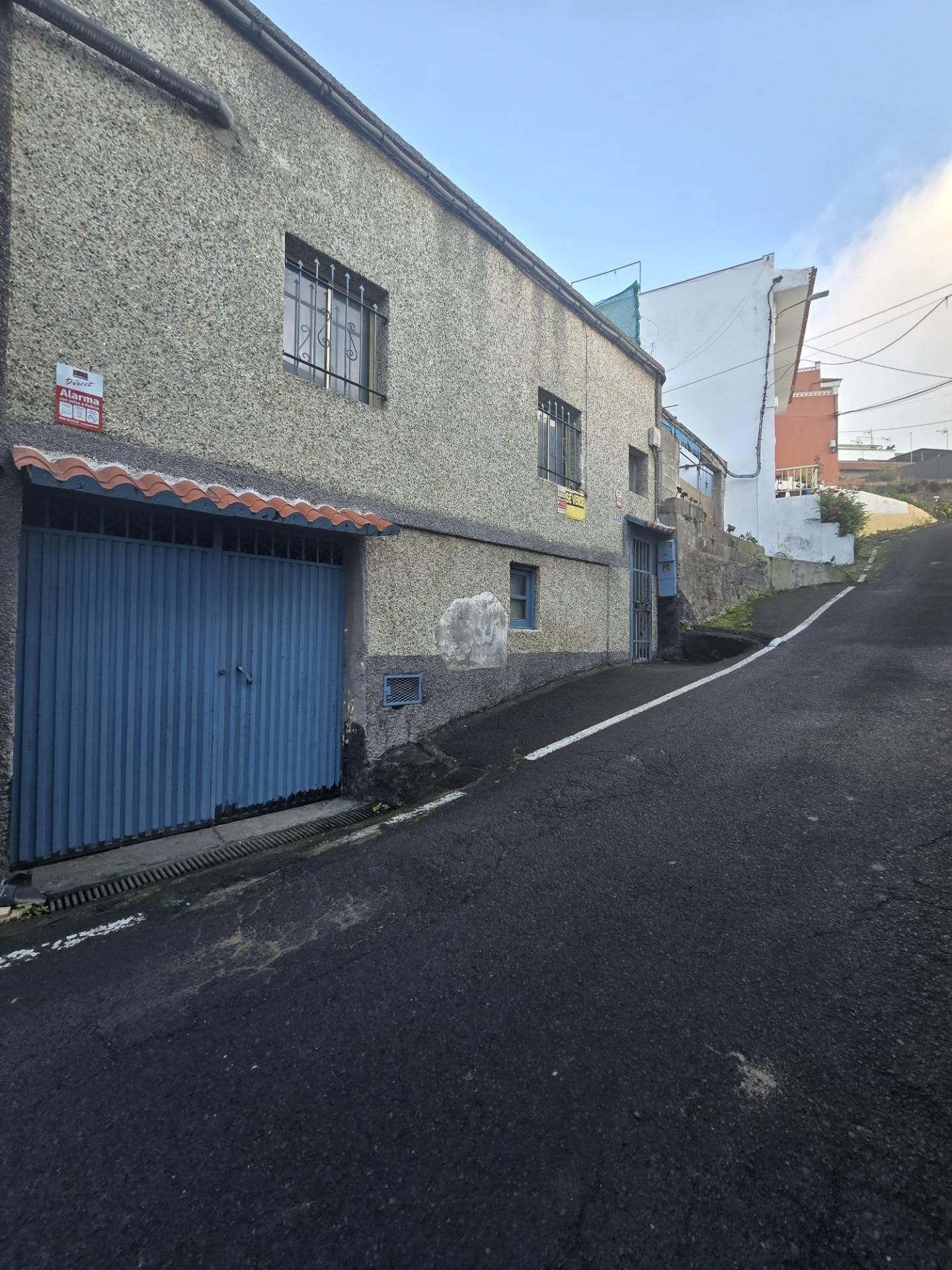 Vista exterior de Finca rústica en venta en Los Realejos con Jardín privado