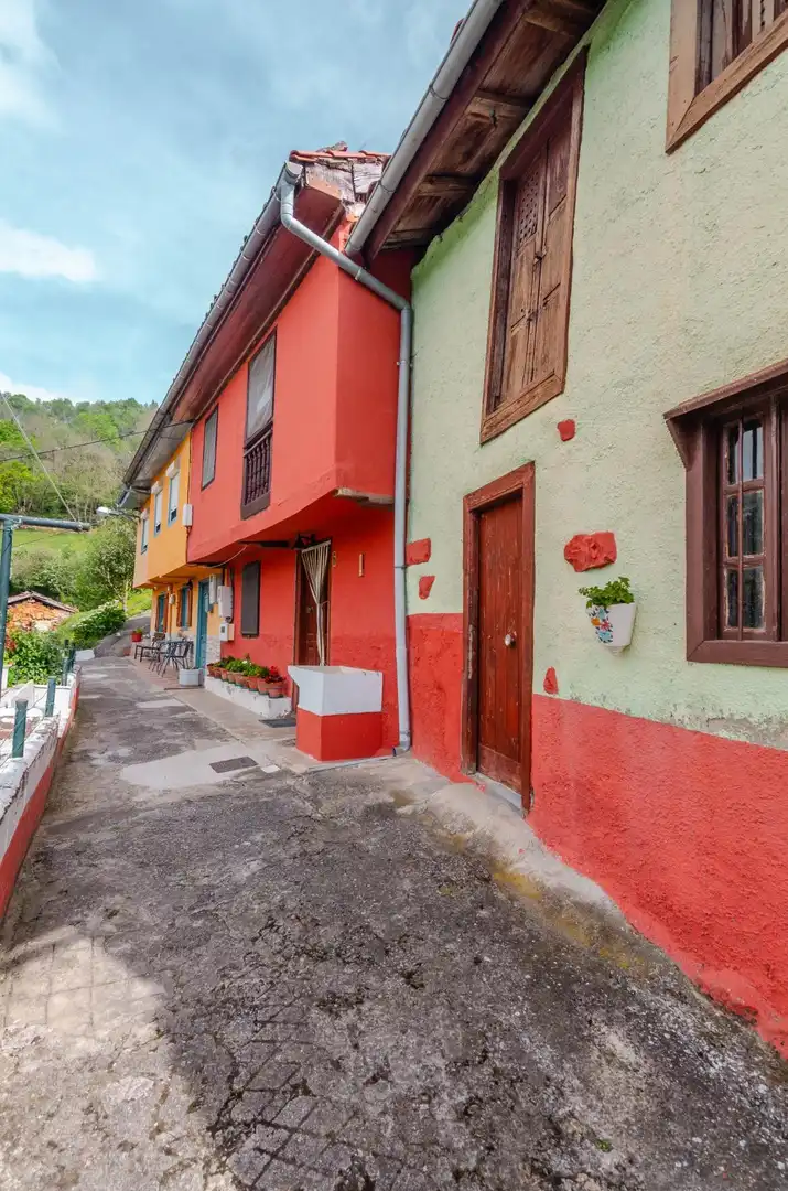 Vista exterior de Casa adosada en venta en Laviana con Jardín privado y Amueblado