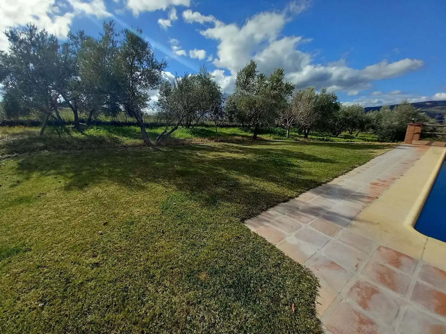 Finca rústica en venta en Arriate