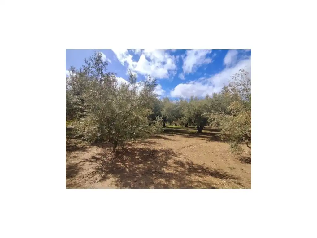 Finca rústica en venda en Periana amb Terrassa i Balcó