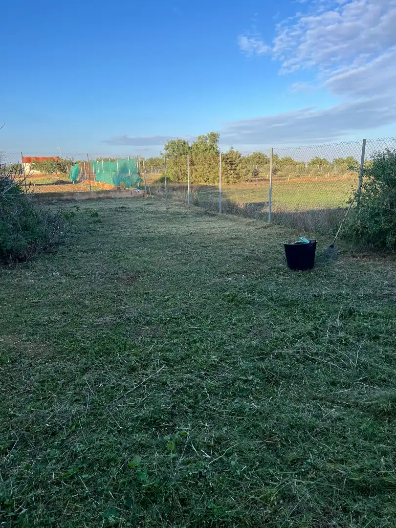 Finca rústica en venta en Pasaje la Ermita, Albujón