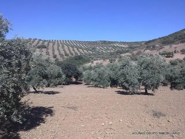 Lands and plots for sale in Bobadilla - Bobadilla Estación - La Joya, imagen 15