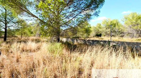 Photo 4 of House or chalet for sale in Los Pinares - La Masia, Valencia