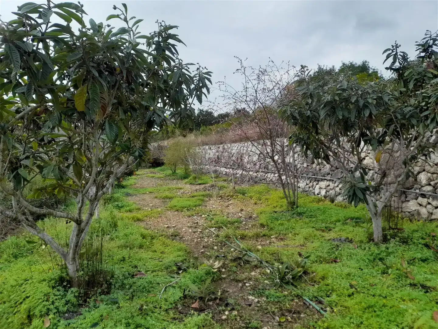 Finca rústica en venda en Llocnou de Sant Jeroni amb Jardí privat, Piscina i Moblat