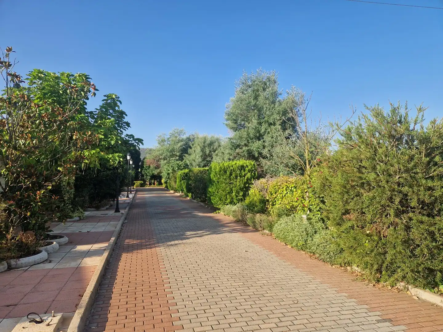 Chalet con piscina en venta en Almodóvar del Campo, imagen 64
