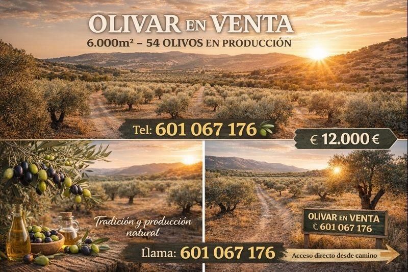 Außenansicht von Grundstücke zum verkauf in Santisteban del Puerto