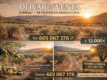 Rural land for sale in Polígono 15 Parcela 205 DEHESILLA DEL RICO. SANTI 165
