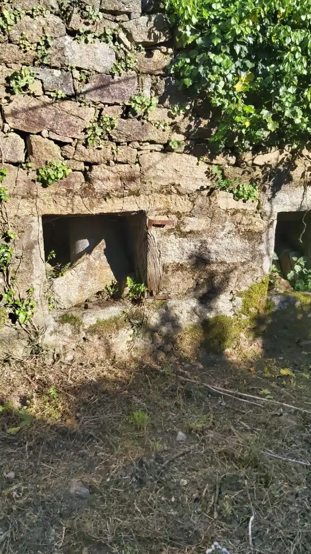 Casa rústica amb terrassa en venda a Lugar Cabreiro-Tremoedo 3A, imagen 23